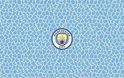 MK体育独家-B费庆祝时指向看台