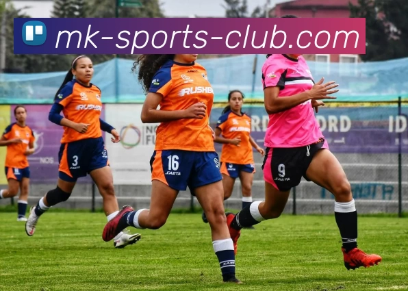 MK体育俱乐部APP 封面图